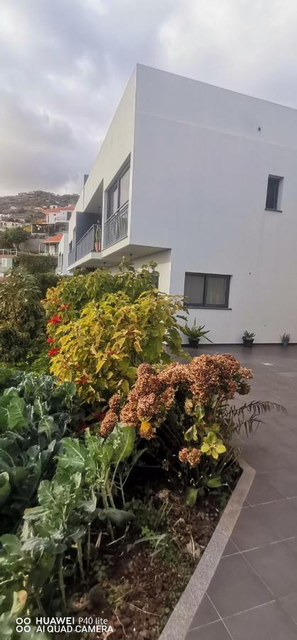 Willa D Henriques House Câmara de Lobos Zewnętrze zdjęcie